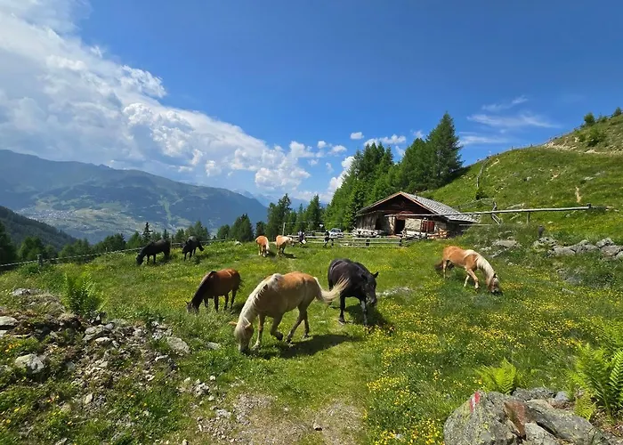 Haus Alpenpanorama Lejlighed Fendels